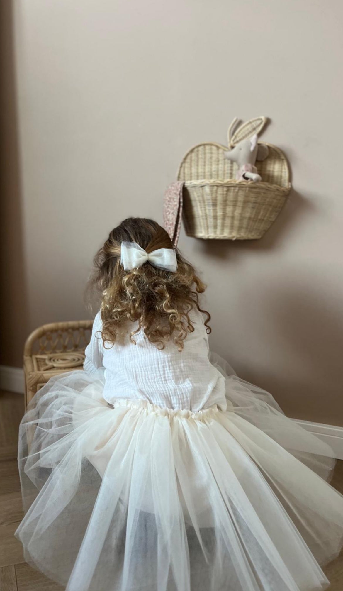 Rotan wanddecoratie appel