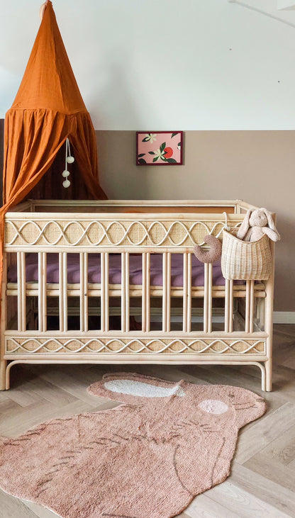 Rotan ledikant / baby box